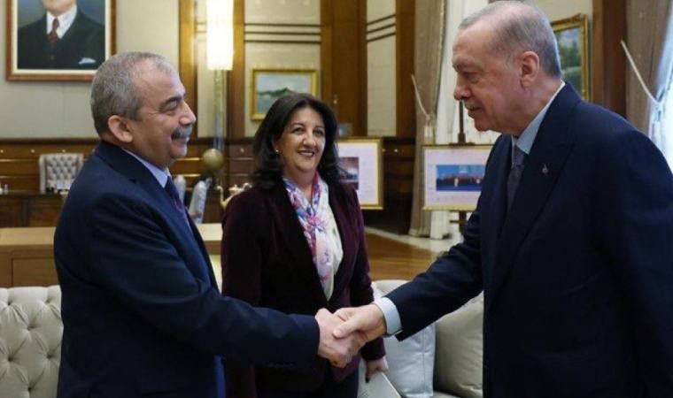 Son Dakika... DEM Parti'den Erdoğan ile görüşme sonrası açıklama