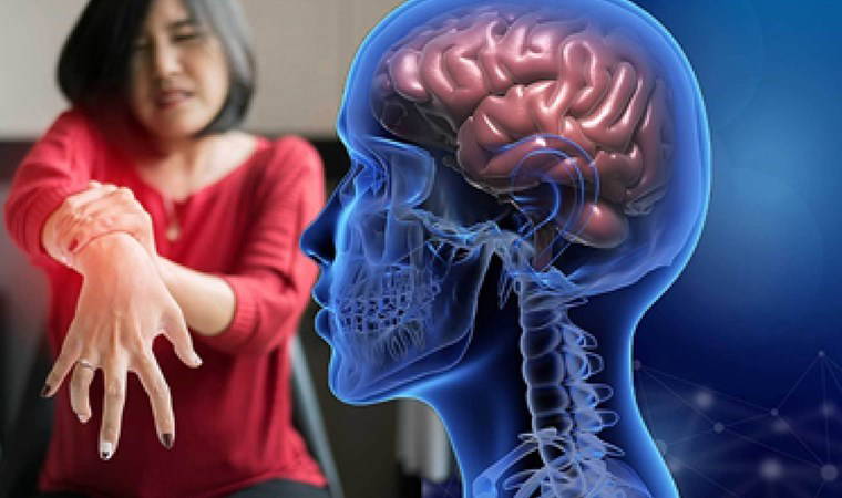 Hava kirliliği ve böcek ilaçları Parkinson riskini artırıyor