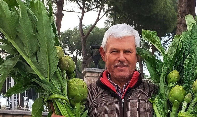 Aydın'da 6500 dönüm alanda yetişiyor: Tanesi 70 TL