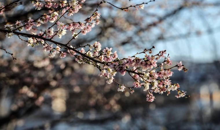 Meteoroloji açıkladı: 13 Nisan 2025 hava durumu raporu... Bugün ve yarın hava nasıl olacak?