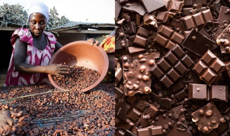 Trump'ın tarifeleri kakao piyasasını vurdu: Çikolata krizi kapıda!