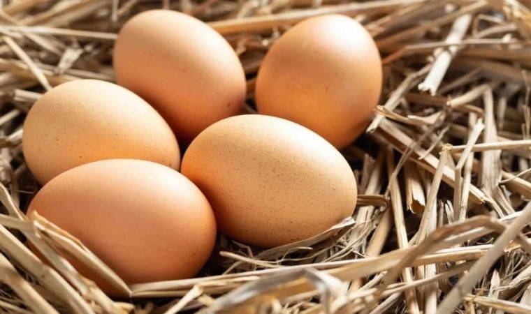 Bayat yumurta nasıl anlaşılır? İşte en pratik yöntemler...