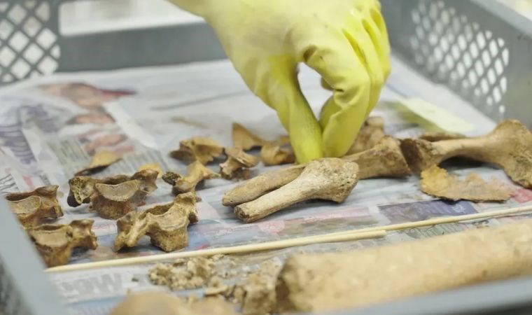 Arkeolojik keşifte 'kanlı' tarih ortaya çıktı: 150 Roma askerinin toplu mezarı bulundu