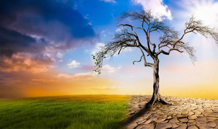 Veteriner Hekimler Derneği’nden İklim Yasası açıklaması: ‘Büyük eksiklikler bulunuyor’