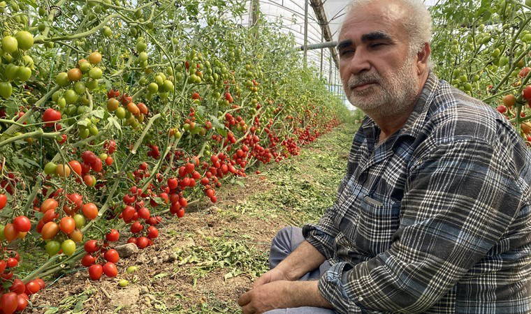 Sezon başında 70 liraydı! Fiyatı 15 TL'ye düştü...