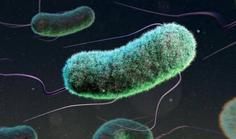 Antibiyotik direnci bir yılda üç milyon çocuğun ölümüyle ilişkilendiriliyor