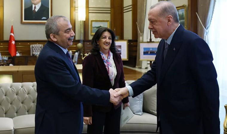 Erdoğan'dan Pervin Buldan’a 'Sırrı Süreyya Önder' telefonu: 'Ekipte Türkiye'nin en iyi doktorları var' dedi