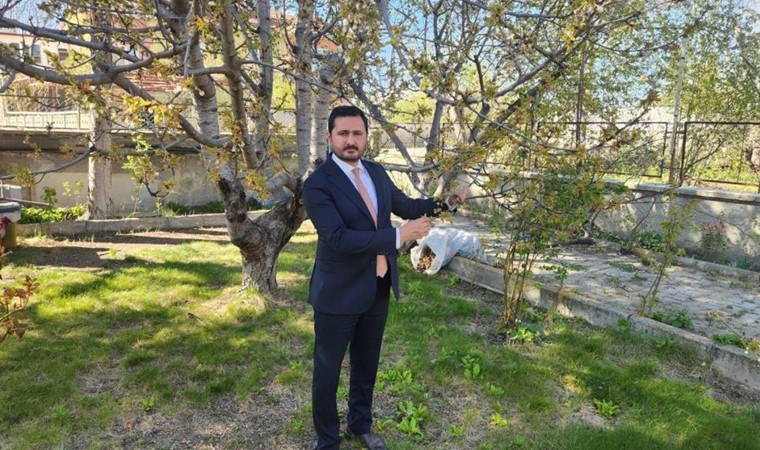 Kraliyet ailesinin sofrasını süslüyor: Bu sene rekoltesi düştü