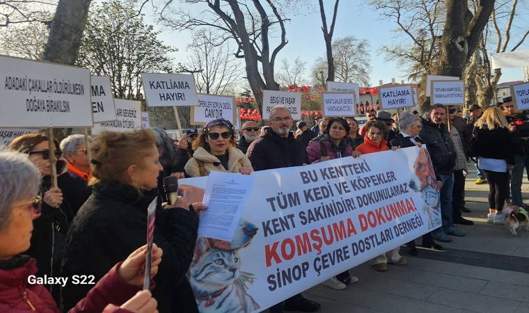 Sinop çevre dostlarından eylem: 'Suçlular köpekler değil’