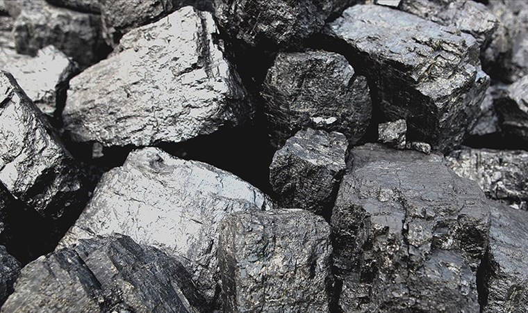 Türk mangal kömürü dünyaya açılıyor: 35 yıllık emek global pazarda!