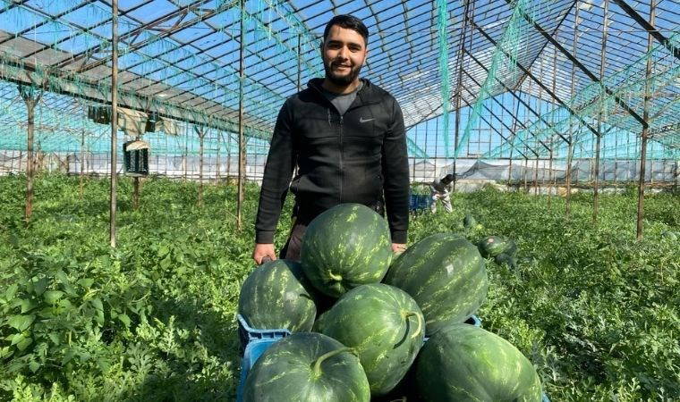 Antalya'da turfanda hasat yapıldı! İlk mahsuller Kahramanmaraş'a gönderildi