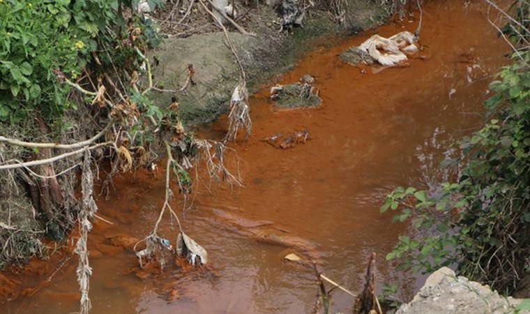 Ceyhan Nehri'nde tedirgin eden görüntü: Renkten renge büründü!