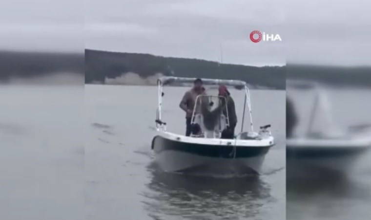 Terkos Gölü'nde panik anları: Balık tutmak isterken, ölümden döndüler!