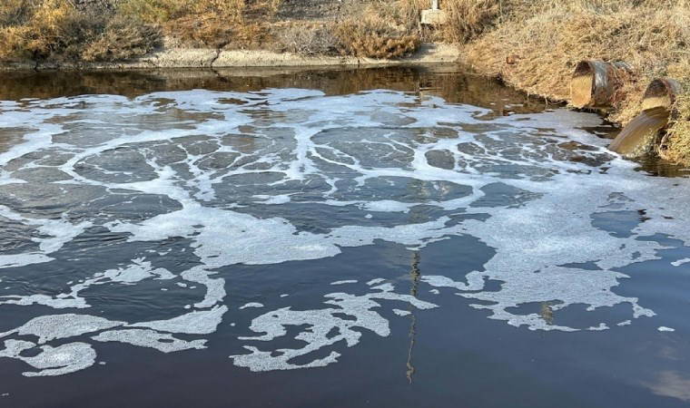 'Dokunmaya korkar hale geldik'