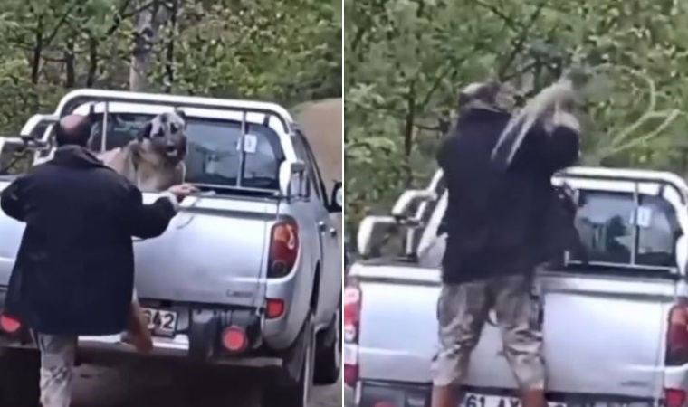 Trabzon'da köpeğe şiddet uygulayan kişi gözaltına alındı