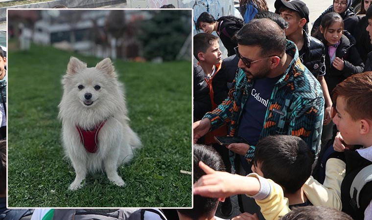 Kayıp köpeği Şeker'i bulana 50 bin lira ödül verecek