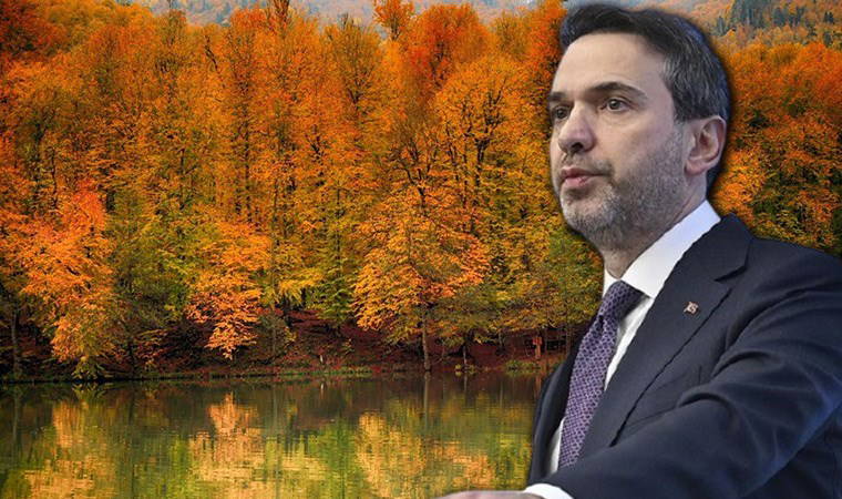 CHP sordu, Bakan Bayraktar doğruladı: Yedigöller'de 'maden arama ruhsatı' başvurusu!