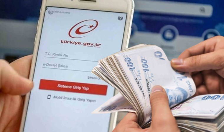 e-Devlet'e neden girilmiyor?