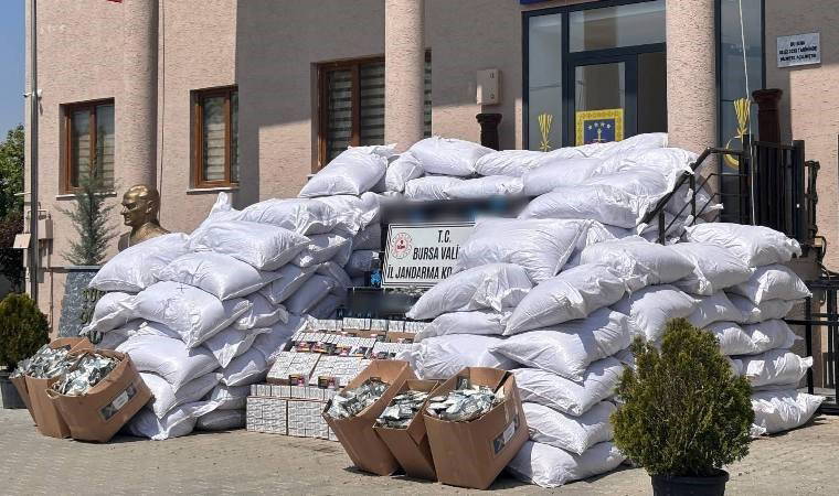 Piyasa değeri 2,3 milyon... Bursa'da yakalandı!