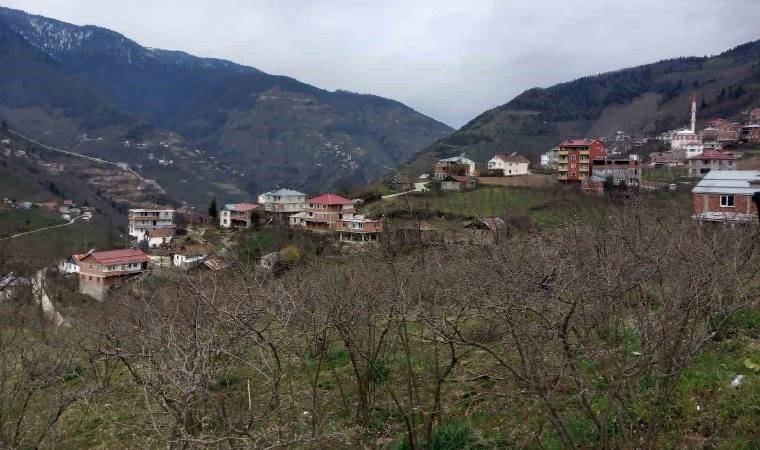 Danıştay kararını verdi