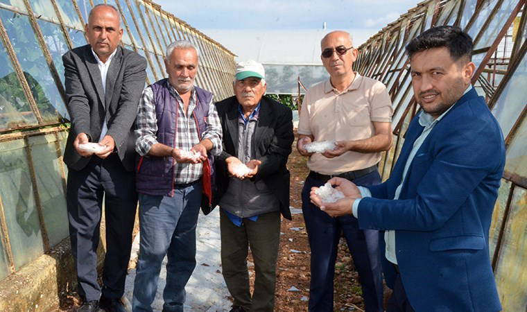 Antalya'da dolu: 10 dakika sürdü, Serik'teki seralara zarar verdi