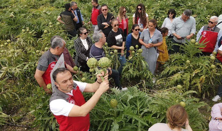 Muğlalı çiftçiler için yeni gelir kaynağı: 350 dekar alanda 420 tonluk üretiliyor