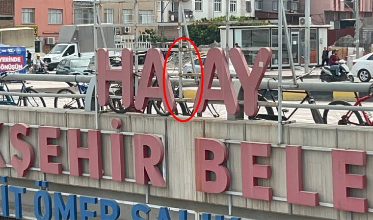 Hatay'ın T'si kayıp! Bir haftada 6'sı kayboldu, yurttaşlar şaşkın...