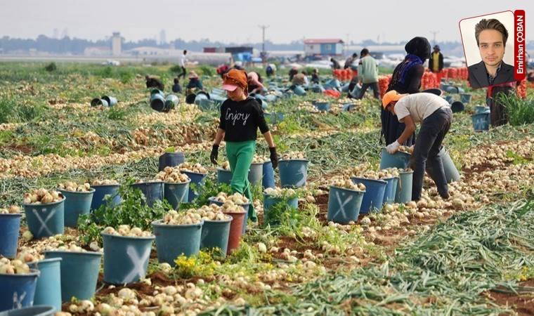 Soğan üreticileri, bakanlıkların devreye girmesiyle eylem yapmaktan vazgeçti