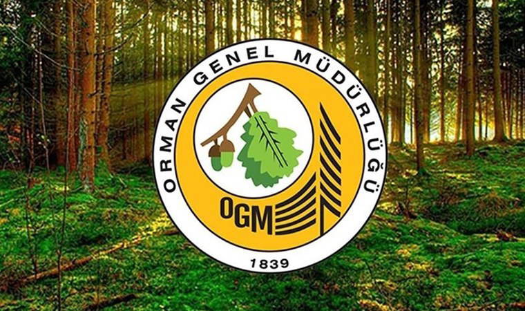 Resmi Gazete'de yayımlandı: Orman Genel Müdürlüğü 105 personel alacak! İşte başvuru şartları...
