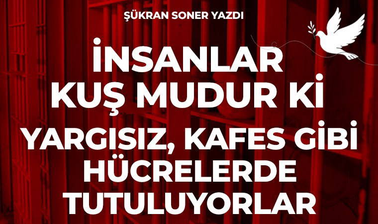 İnsanlar kuş mudur ki yargısız, kafes gibi hücrelerde tutuluyorlar