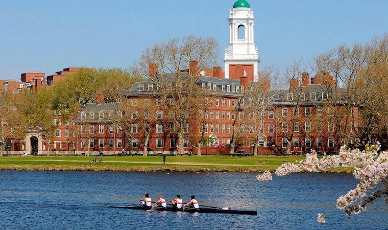 Harvard Üniversitesi hakkında "ayrımcılık" soruşturması