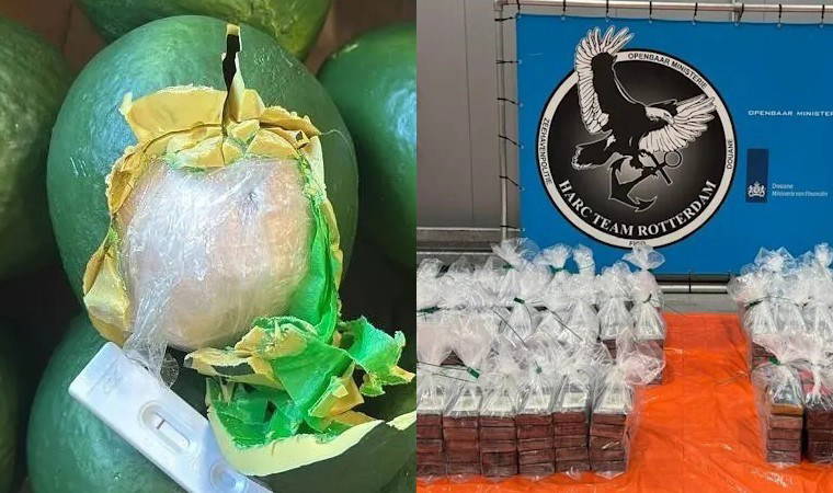 Hollanda'da dev uyuşturucu operasyonu: Avokado sandılar, kokain çıktı