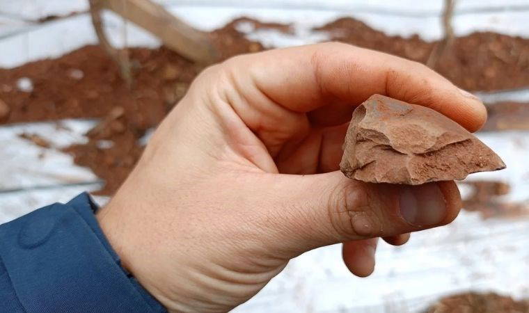 Doğu Asya'da Neandertal izi keşfedildi: Evrimsel senaryolar yeniden yazılabilir