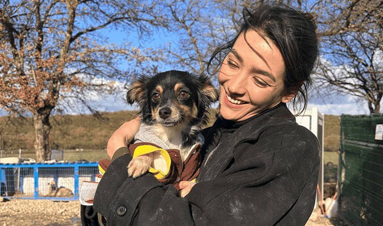 Aybüke Pusat'ın sahipsiz hayvanlar için oluşturduğu kampanyaya bir günde 3 katı bağış yapıldı