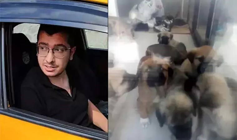 Ankara'daki vahşetin boyutları büyüyor: Doktorun sahiplenip öldürdüğü iddia edilen köpek sayısı 26'ya ulaştı!