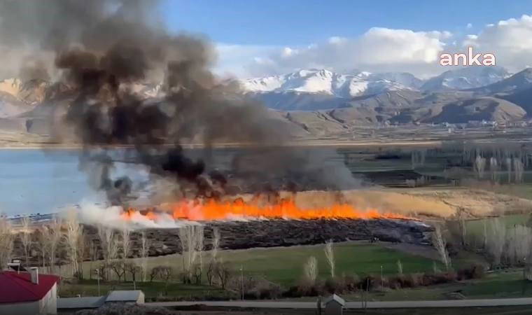 Van’ın kuş cennetinde yangın: Binlerce canlının yaşamı tehlikeye girdi!