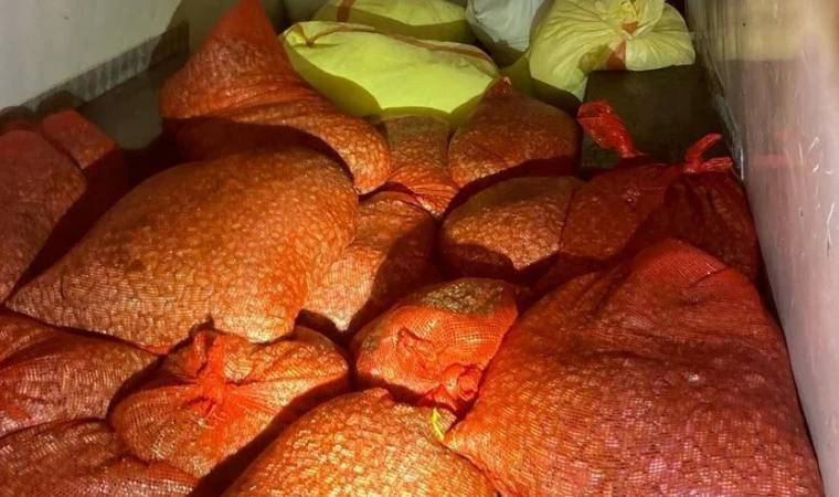 Samsun'da 1 ton kaçak kum midyesi ele geçirildi