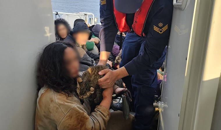 Antalya'da ekiplerden operasyon: Kaçak göçmen, yanında 'kedisiyle' yakalandı
