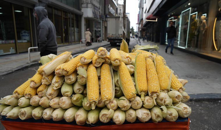 Akdeniz'den getirildi! Erkenci hasat tezgahta yerini aldı: Tanesi 60TL