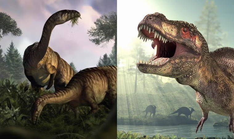 167 milyon yıllık sır çözüldü: Dev dinozorlar aynı lagünde yaşamış