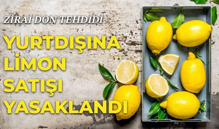 Bakanlık'tan açıklama: Yurtdışına limon satışı yasaklandı!