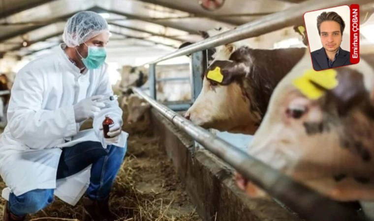 Bir hak gaspı daha...