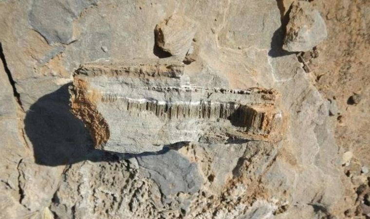 Bir milyon yıllık sır açıklandı: Afrika'nın altında gizemli tüneller keşfedildi