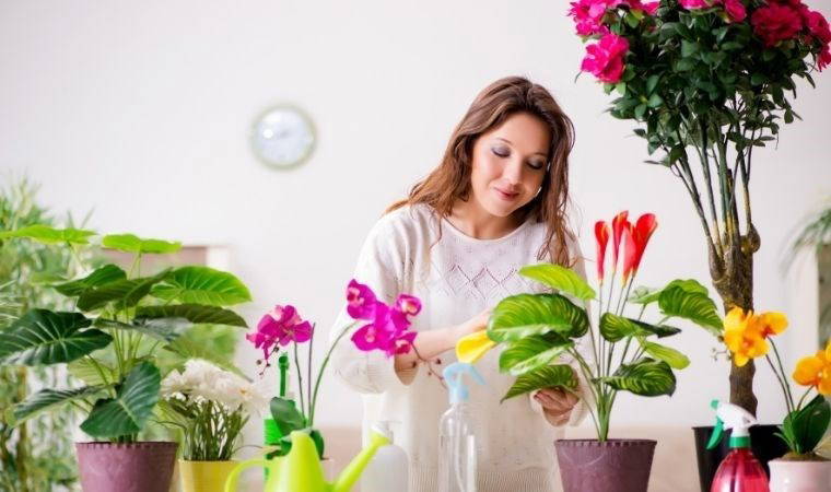 Doğanın enerjisini evinize taşıyın: Evinizde kolayca yetiştirebileceğiniz 10 bitki