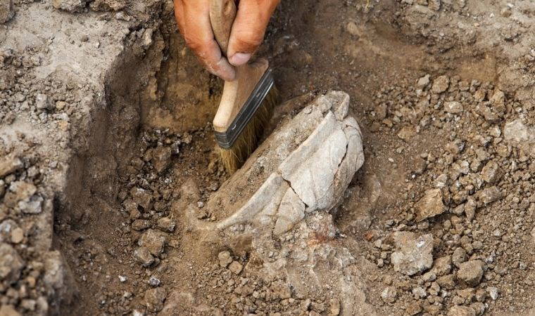 İzmir'de ceviz bahçesinde bulundu: 2 bin yıllık....