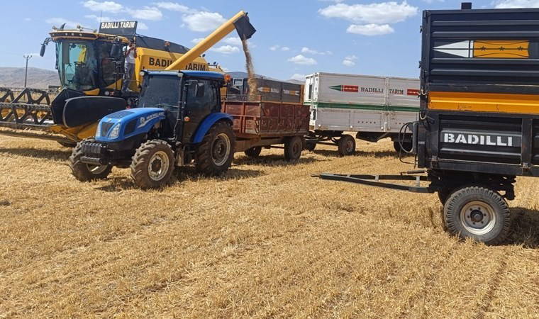 Mardin'de sezonun ilk hasadı yapıldı: