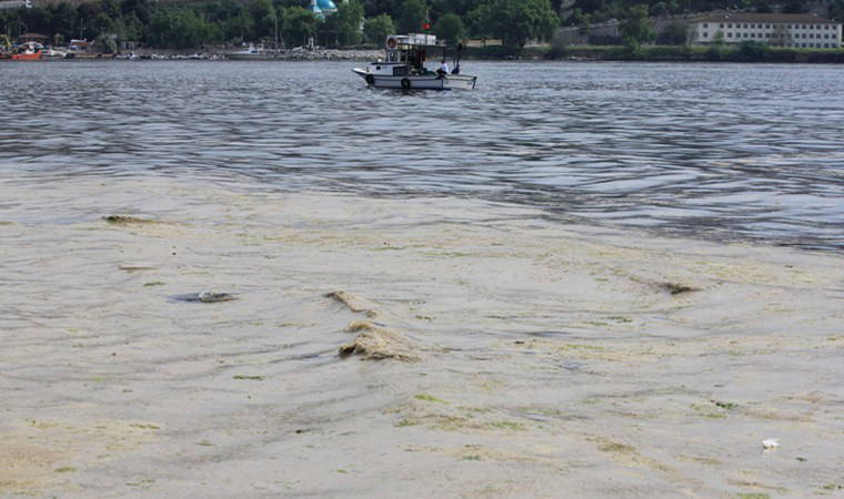Müsilaj balık yumurtalarını öldürmeye başladı!