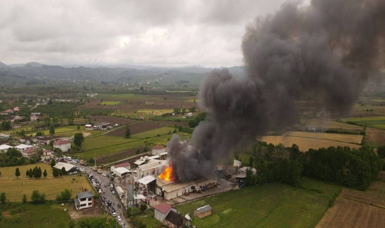 Sakarya'da fındık fabrikasında yangın: Alevler havadan görüntülendi