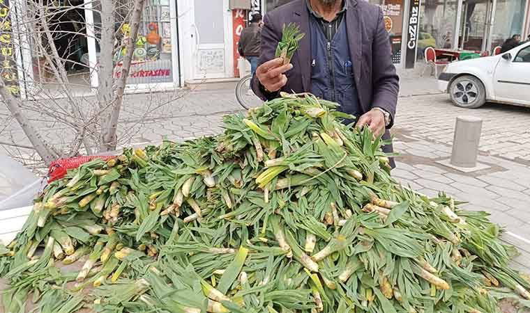 Yüksek rakımlı dağlarda kendiliğinden yetişiyor! Yöre halkının sağlık sırrı.....