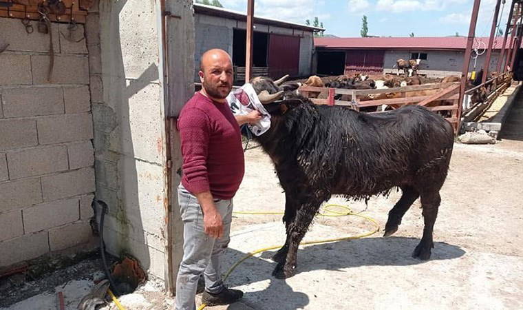 Komşuların arazi kavgasında kan aktı: 1 kişi hayatını kaybetti!